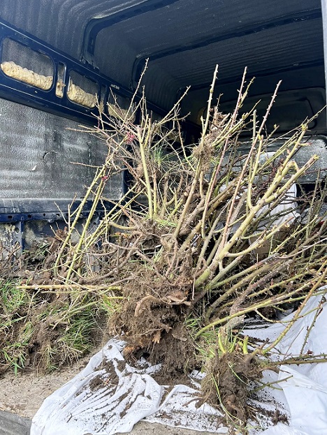 IMG_20260330_065424_333